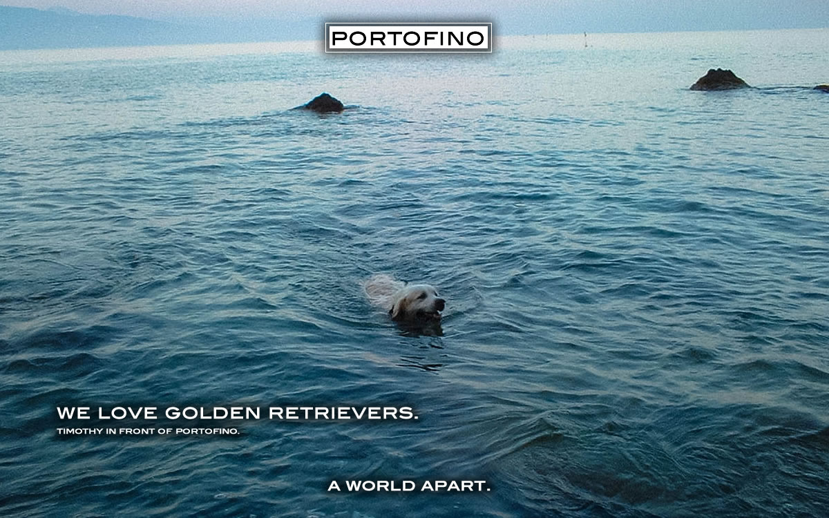 Timothy nuota di fronte al Covo di Nord-Est