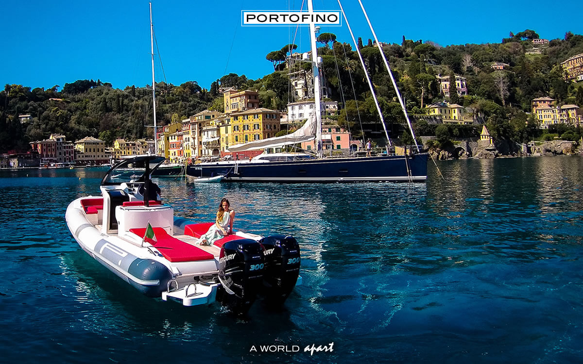 L'ingresso al Porto di Portofino